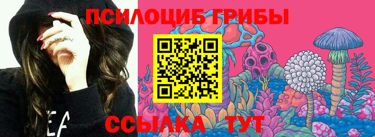 Псилоцибиновые грибы мицелий Дзержинский